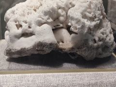 -甘肃地质博物馆