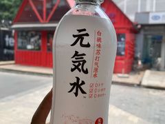 -珠江琶醍