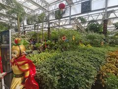 -南宫五洲植物乐园