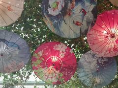 -海韵人家.海景花园经典云南菜(双廊店)