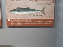 -青岛市博物馆