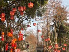 -浙江三立开元名都大酒店