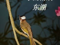 -台州府城(东湖)