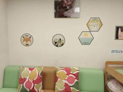 -杭州贝瑞斯美华妇儿医院·早孕·产检·儿科