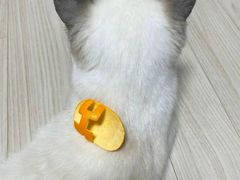 -HERMES(湖滨银泰in77店)