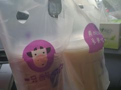 -一只酸奶牛(东方广场店)