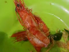-明记烧鱼美味店