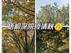 -重庆中央公园(渝北区)