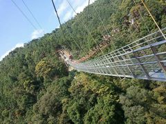 -九龙江国家森林公园