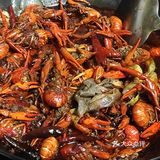 盘中虾🦞