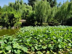 -北京民族园葉子里酒店(鸟巢店)