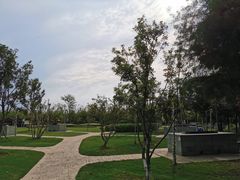 -上海长兴岛郊野公园