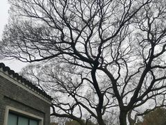 -无锡梅园公园