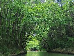 -动邦皮划艇·桨板·独木舟·团建户外运动俱乐部