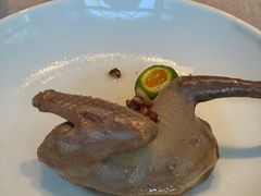 -子福慧(虹桥店)