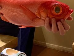 -德国弗伦斯堡啤酒屋