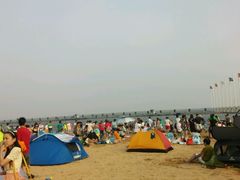 -碧海金沙
