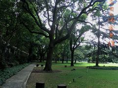 -上海瑞金洲际酒店