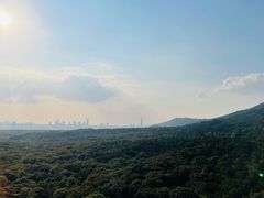 -灵谷景区