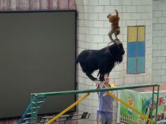 -瓷天下海丝谷