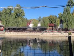 -尚庄度假村·庭台树下·户外烧烤·团建CS·轰趴营地(上庄水库店)