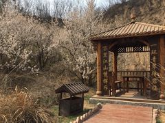 -樱桃沟景区