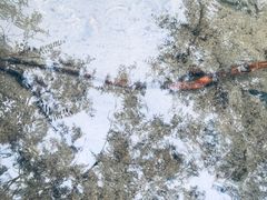 -碓臼峪自然风景区