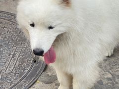 -后海村