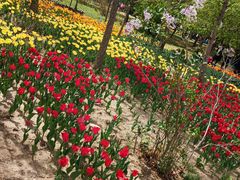 -长春公园(普阳街道)