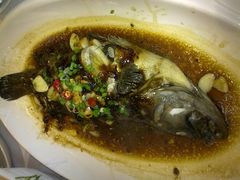 石斑鱼-粤珍轩.创始店.始于2001(含光门店)