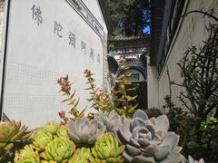 -寂照庵