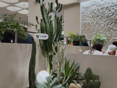 -隅乐胡椒虾·台湾菜·团建(皇岗店)