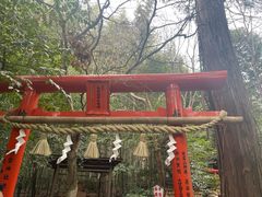 -野宫神社