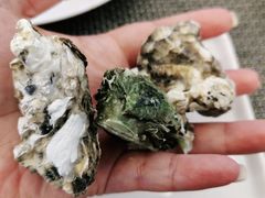 现开生蚝-澜悦港海鲜体验主题餐厅