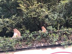 -上方山森林动物世界