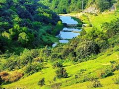 -大姆山草场