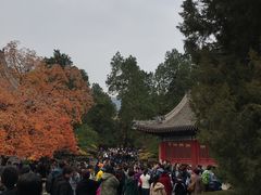 -香山公园-东宫门售票处