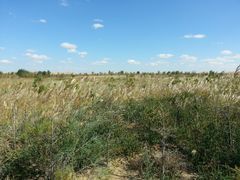 -亿利库布其七星湖沙漠生态旅游区