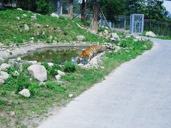 -西安秦岭野生动物园