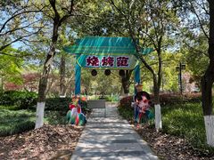 -白马涧龙池景区