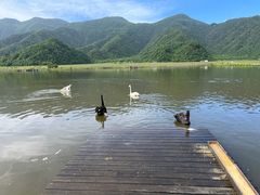 -大九湖
