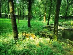 -北京野生动物园