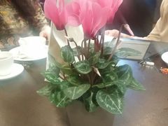 android_upload_pic-广州文华东方酒店·江-由辉师傅主理