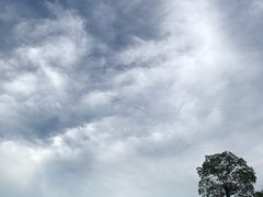 -天河体育中心