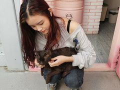 -喵屿·大理花园猫咖