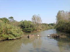 图片&nbsp;156-溱湖国家湿地公园