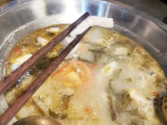 -土著渔匠·养生蝴蝶鱼(香樟路店)
