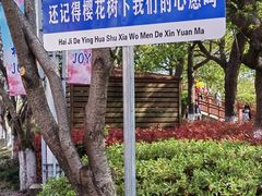 -高东镇樱花园