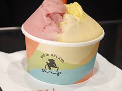-Dip in Gelato(富民路店)