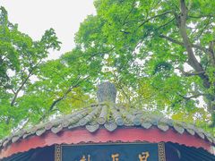 -丰都鬼城名山景区